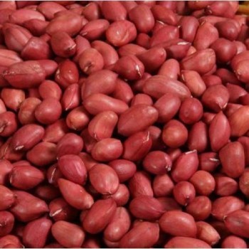 Badam(Peanuts) - 1kg